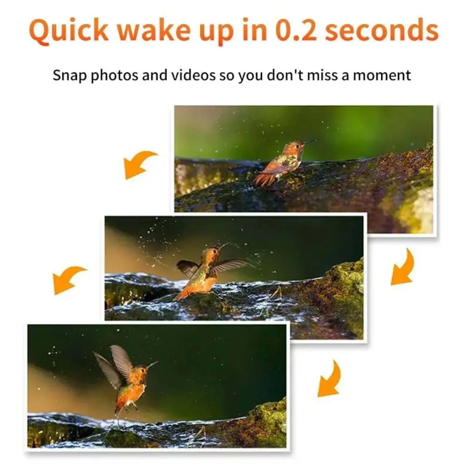 4G Hunting Trail Wildlife Camera Solar/Battery Power 4MP 2K HD Video PIR Motion Detection Night Vision Waterproof