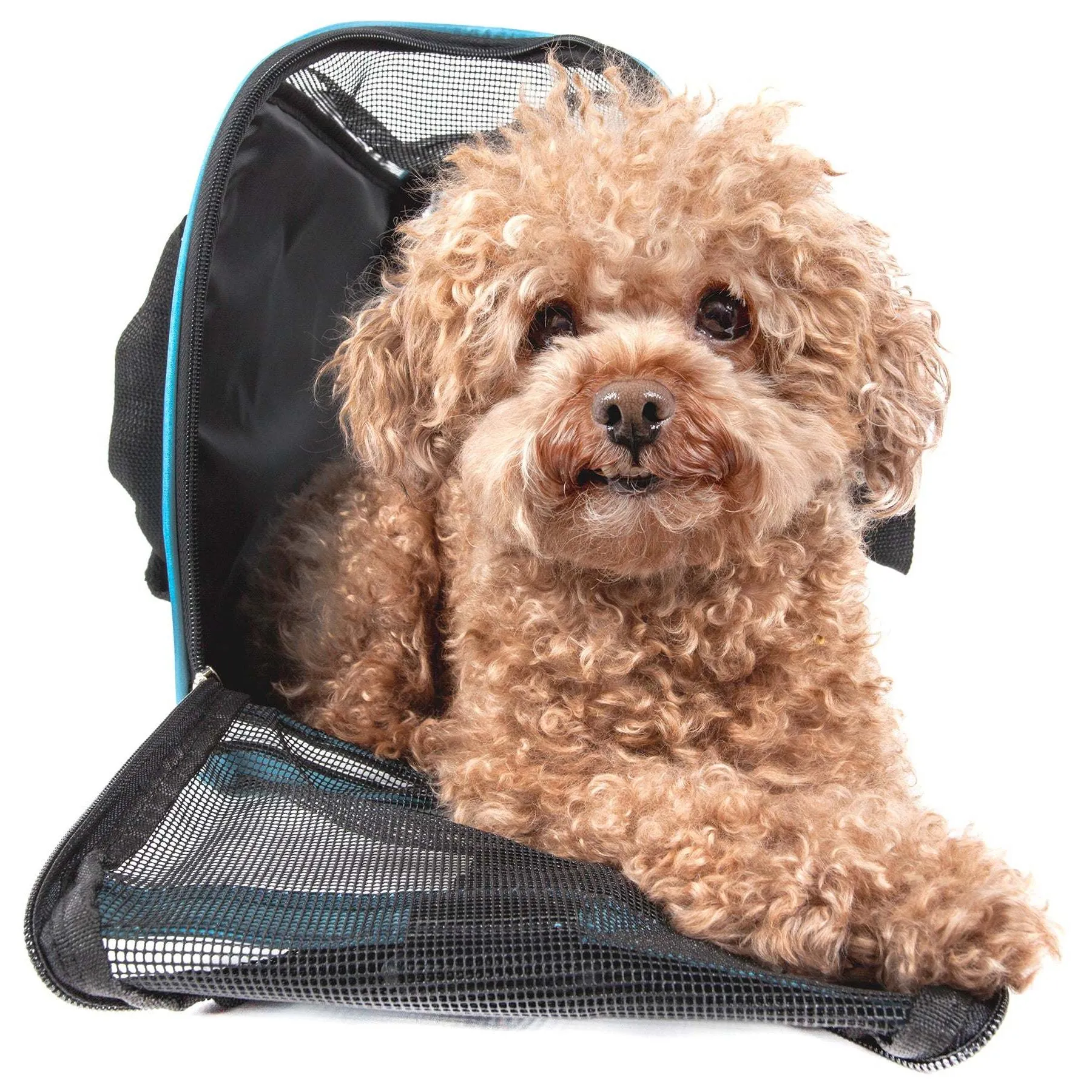 Adjustable Collapsible Airline-approved Pet Carrier with Zippered Compartments Transport
