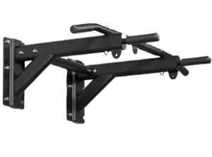 Commercial Grade Pull-up Bar
