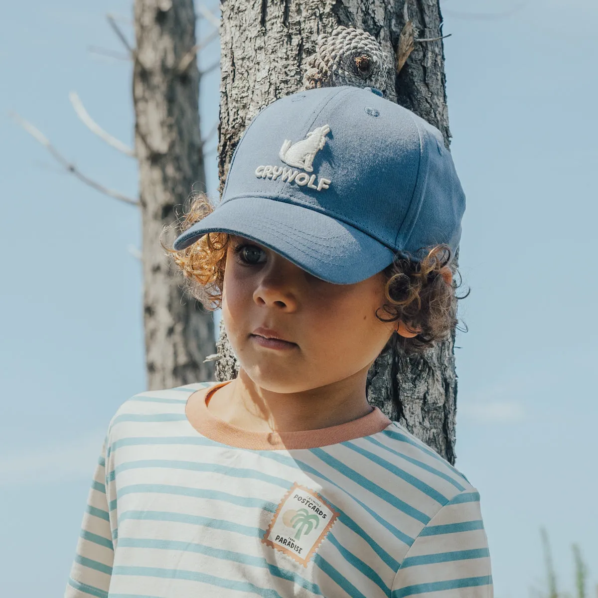 CRYWOLF CAP Navy