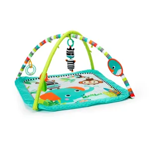 KALEIDOSCOPE SAFARI GYM