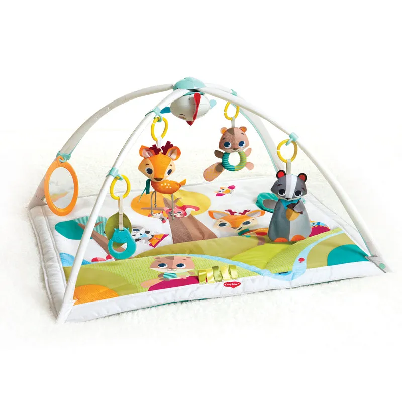 Lakeside Lullabies | Baby Activity Gym | Baby Play Mat | Baby Gym