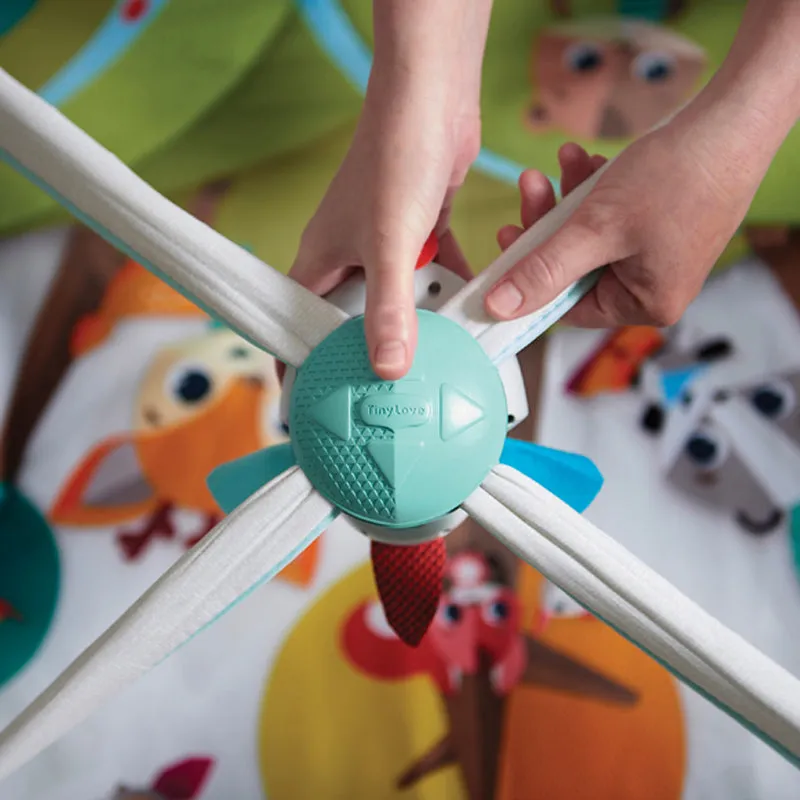 Lakeside Lullabies | Baby Activity Gym | Baby Play Mat | Baby Gym