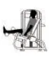 LAT PULLDOWN