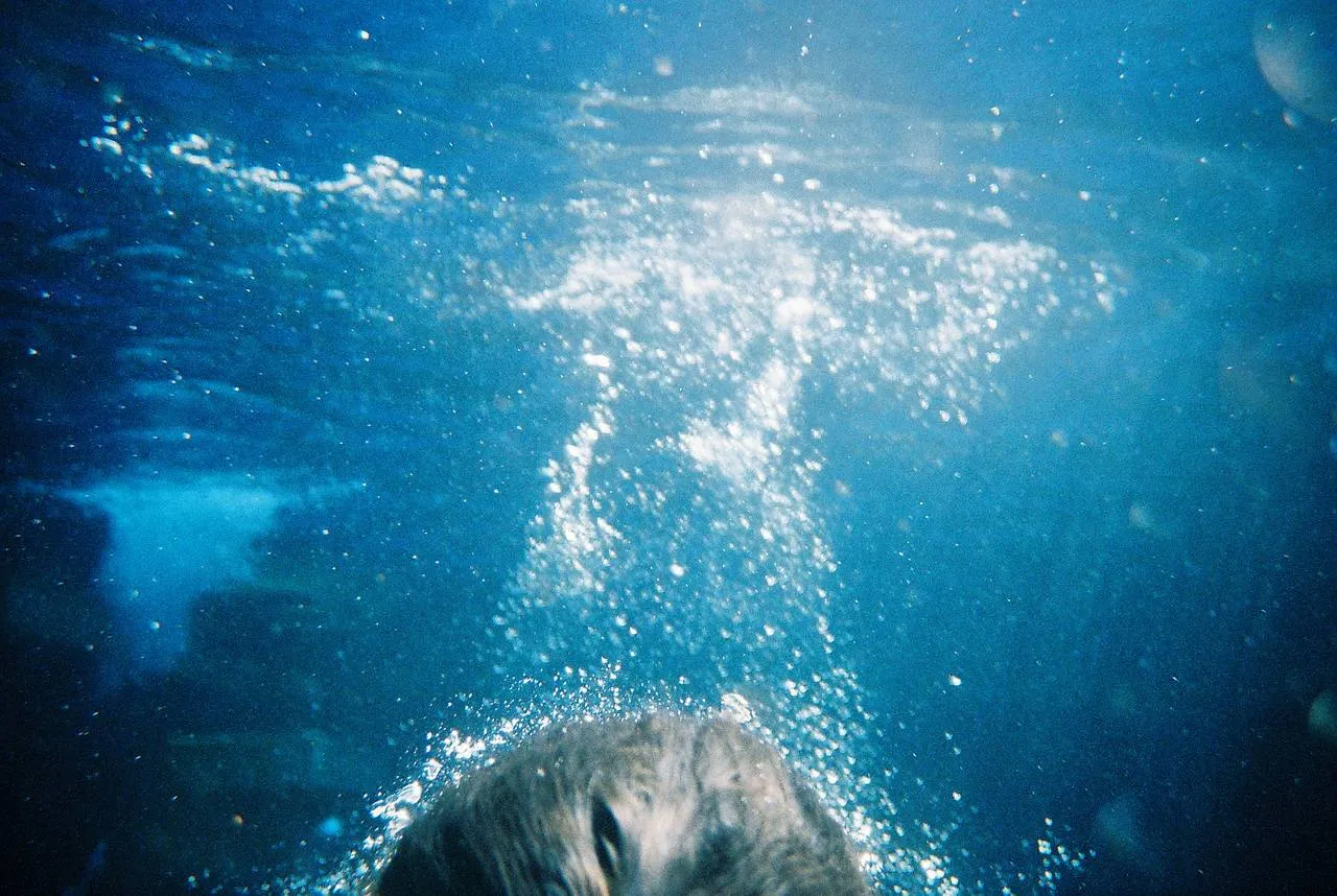 Lomography LC-A/Wide Krab - Underwater Housing