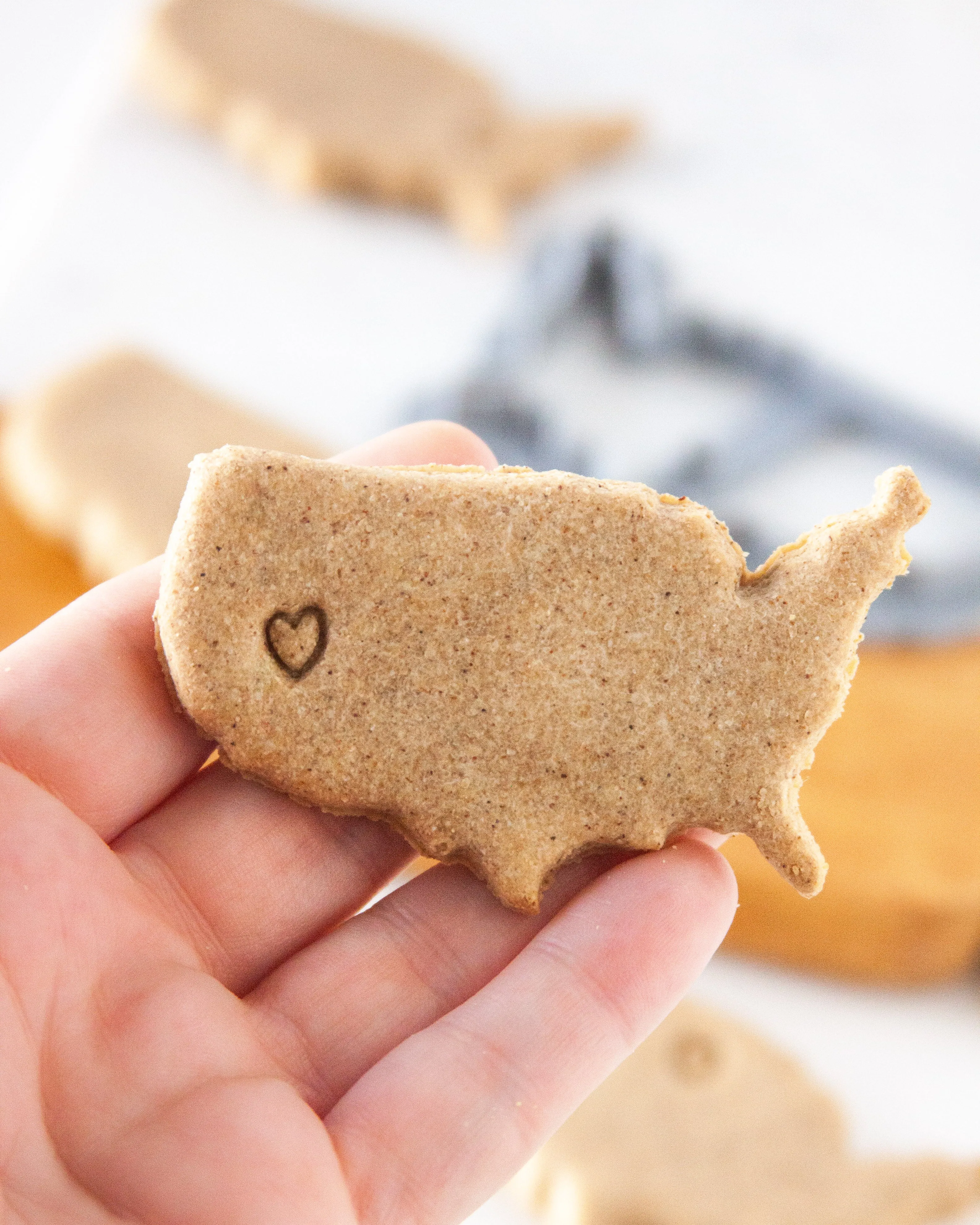 Map of USA, United States Of America Cookie Cutter