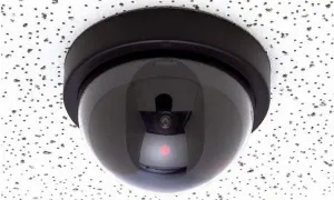 Mitaki Mock Security Camera