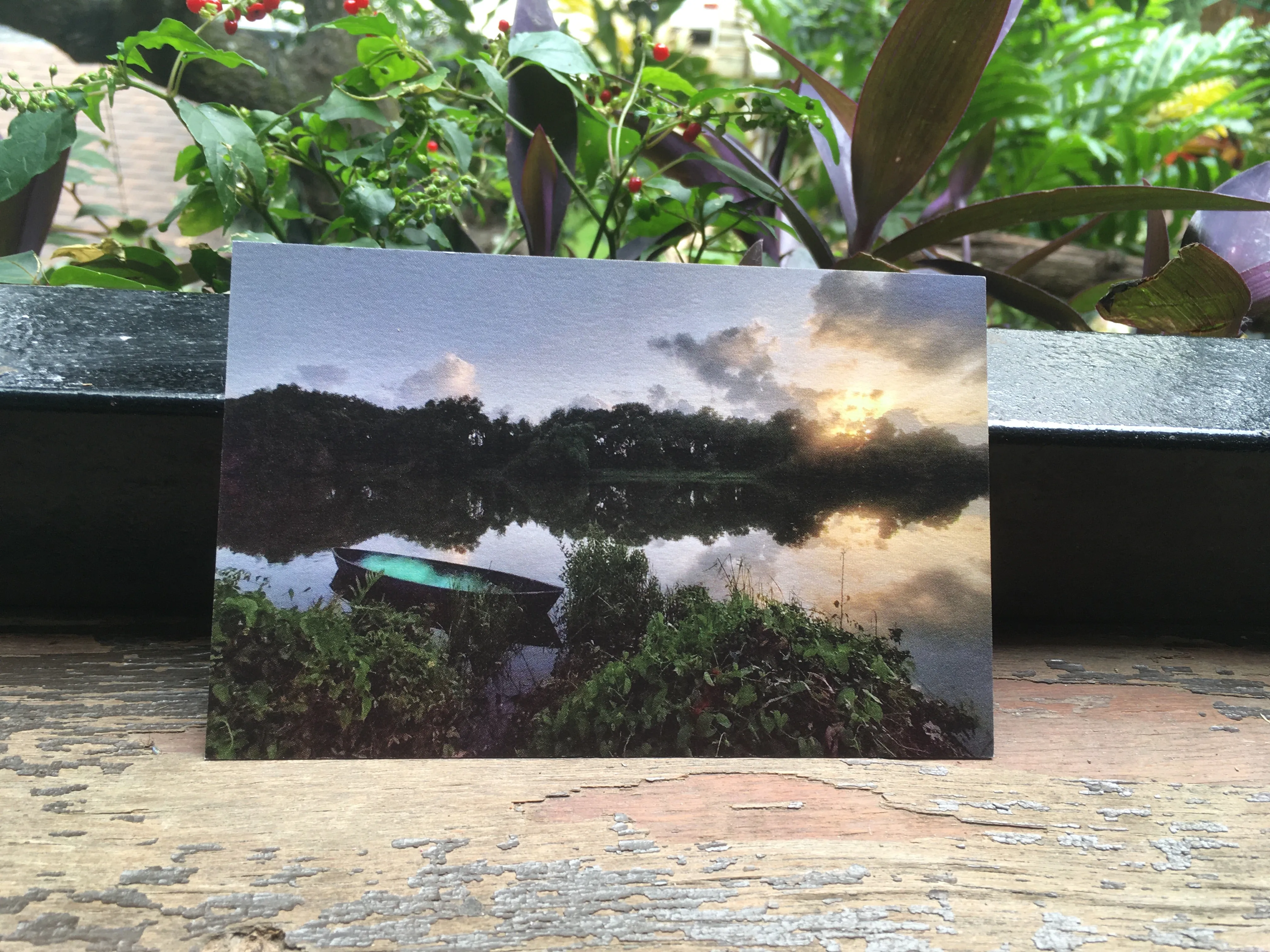 Moira River, Goa (Postcards from Knowhere)