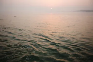 Travel No. 14