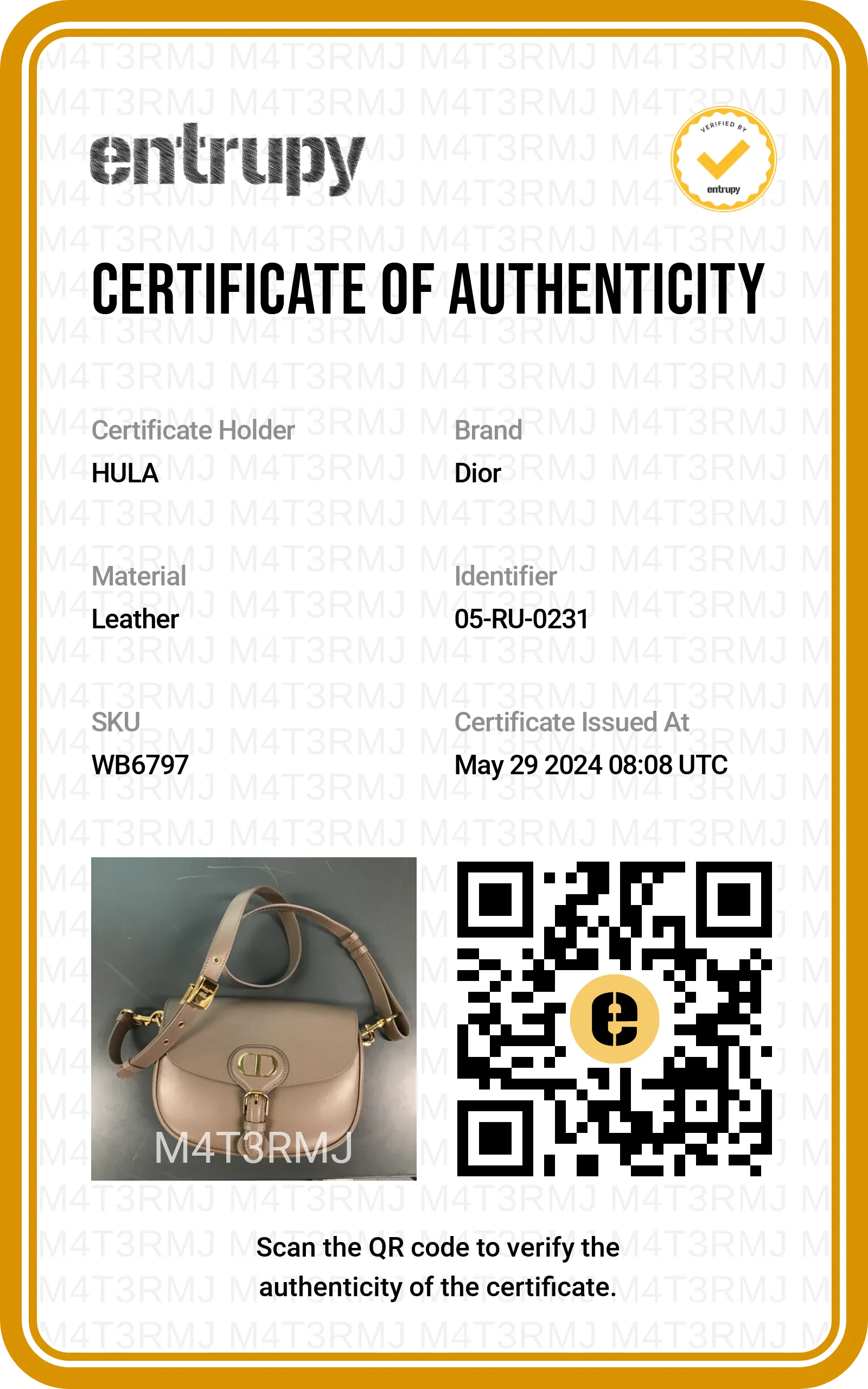 [WB6797] Christian Dior | Cross-Body Bag