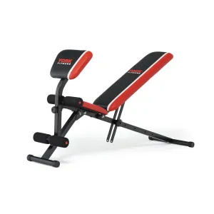 York Warrior 2 in 1 Dumbbell & Ab Bench with Curl